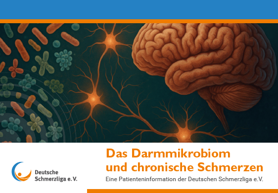 Das Darmmikrobiom und chronische Schmerzen